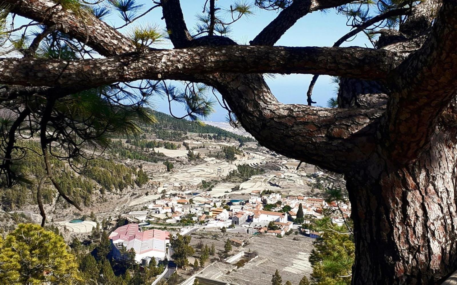 New Typical Canary Home Casa Ma, Arona  Εξωτερικό φωτογραφία